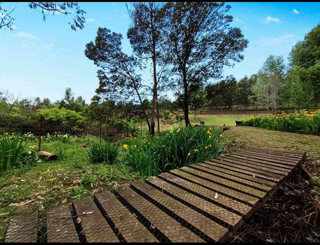 FARM FOR SALE IN PIETERMARITZBURG RURAL